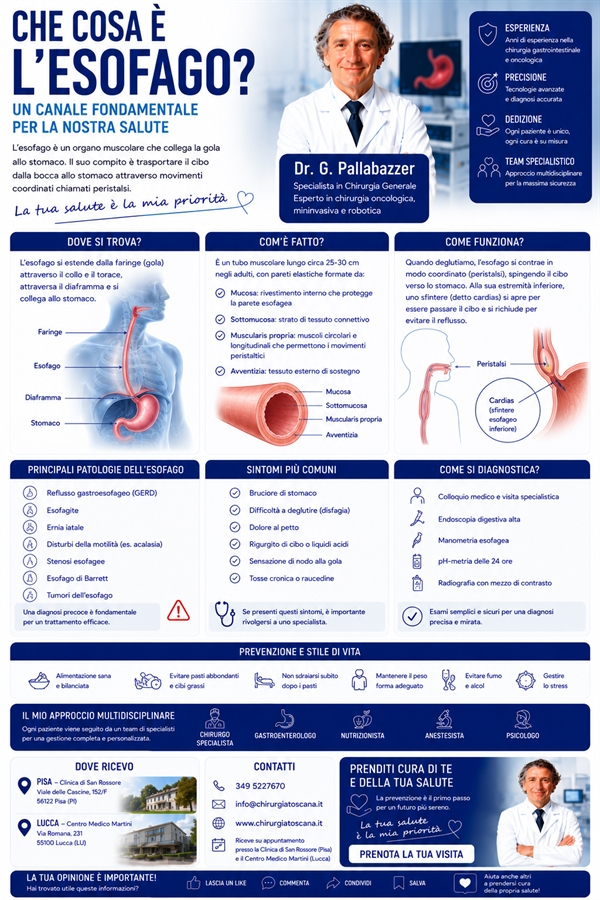 Che cosa è l'esofago: cenni anatomici
